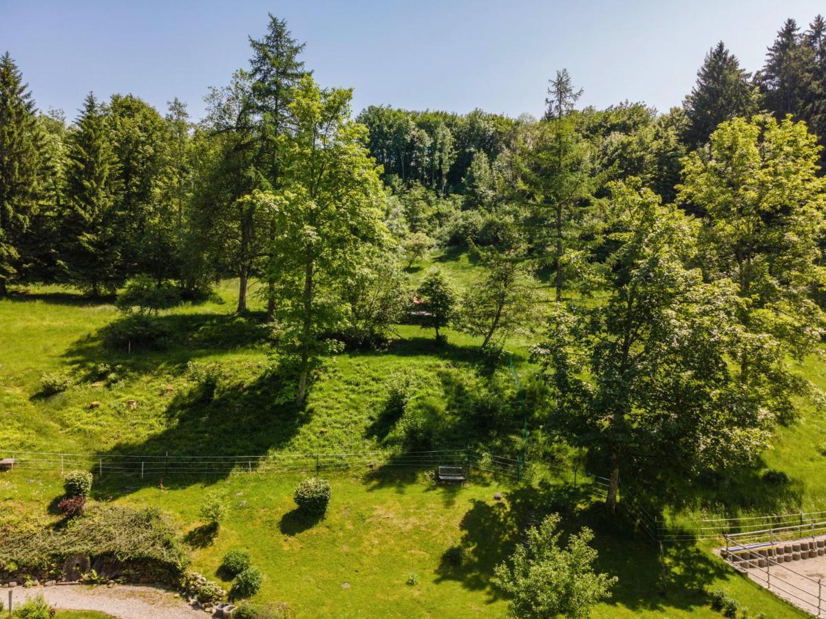 Tobelbach Apartman Weiler-Simmerberg Kültér fotó